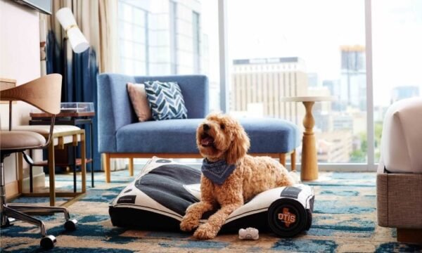 Pet Fees - Rental á la Carte